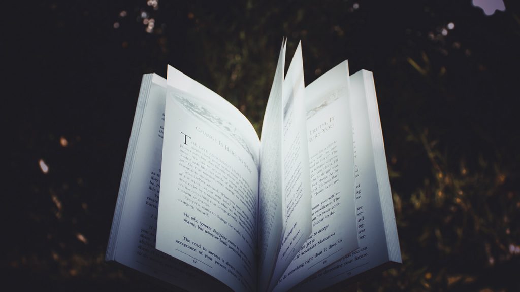 A Sabedoria em meus aprendizados